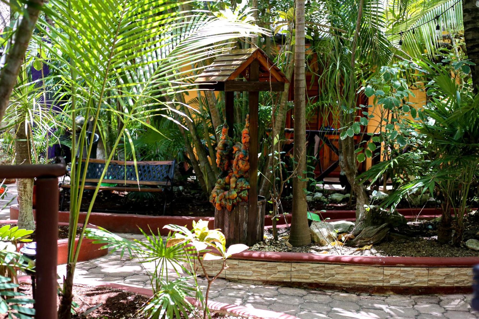 Cocos Cabanas Playa Del Carmen Adults Only المظهر الخارجي الصورة