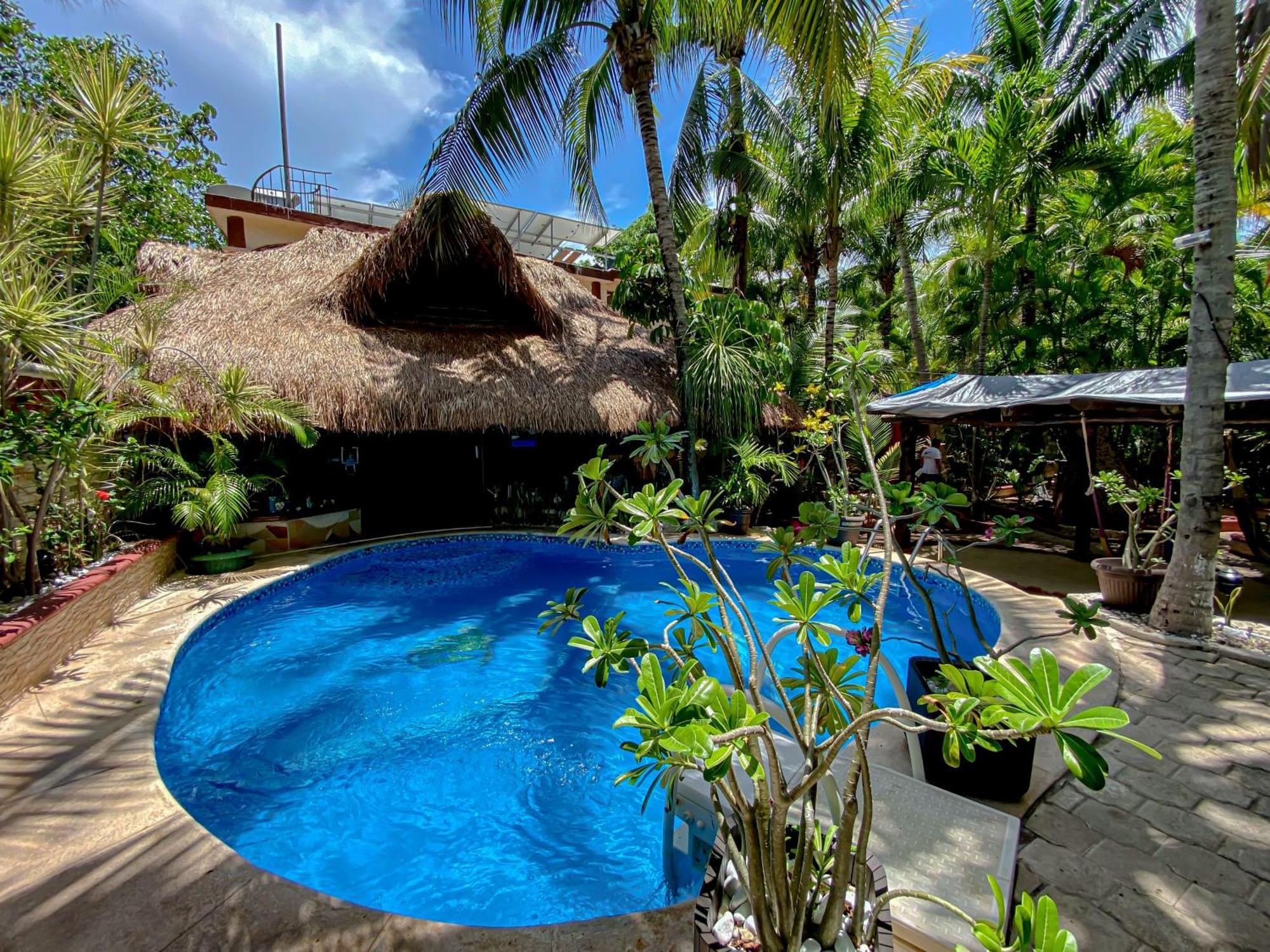 Cocos Cabanas Playa Del Carmen Adults Only المظهر الخارجي الصورة