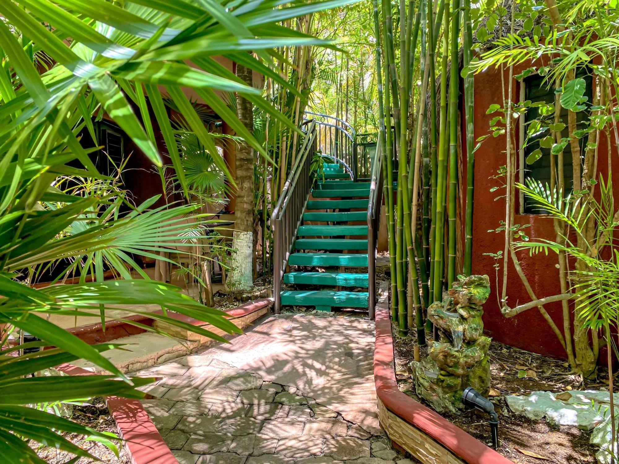 Cocos Cabanas Playa Del Carmen Adults Only المظهر الخارجي الصورة