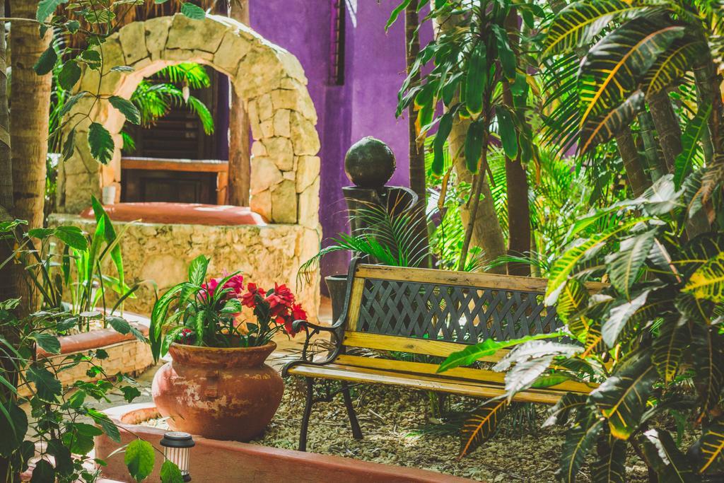 Cocos Cabanas Playa Del Carmen Adults Only المظهر الخارجي الصورة