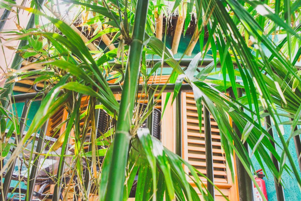 Cocos Cabanas Playa Del Carmen Adults Only المظهر الخارجي الصورة