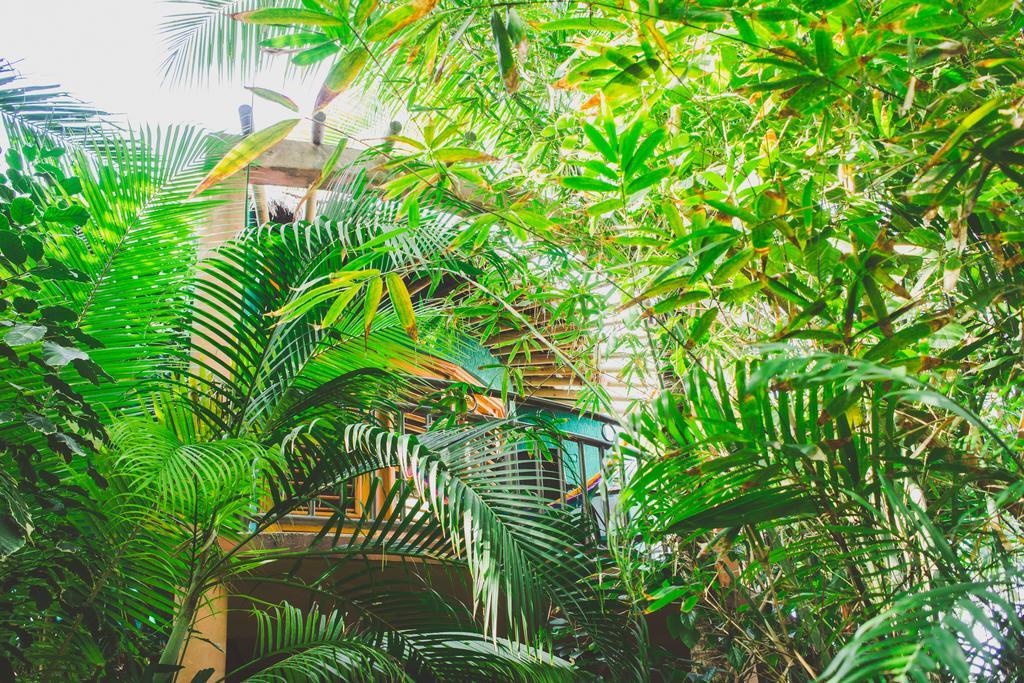 Cocos Cabanas Playa Del Carmen Adults Only المظهر الخارجي الصورة