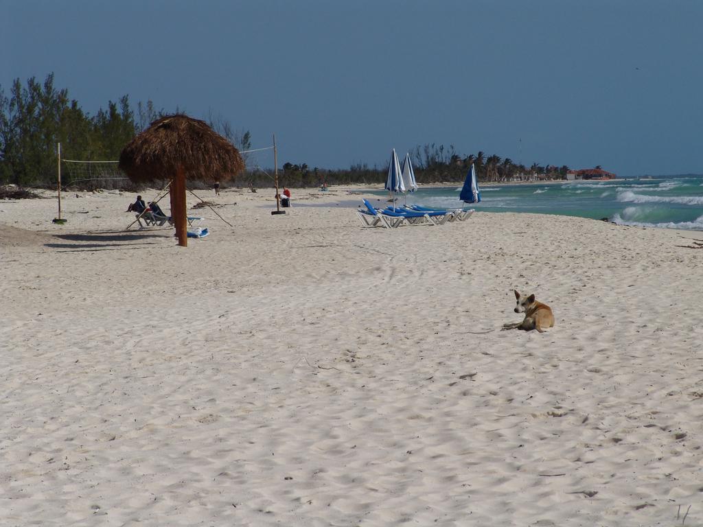 Cocos Cabanas Playa Del Carmen Adults Only المظهر الخارجي الصورة