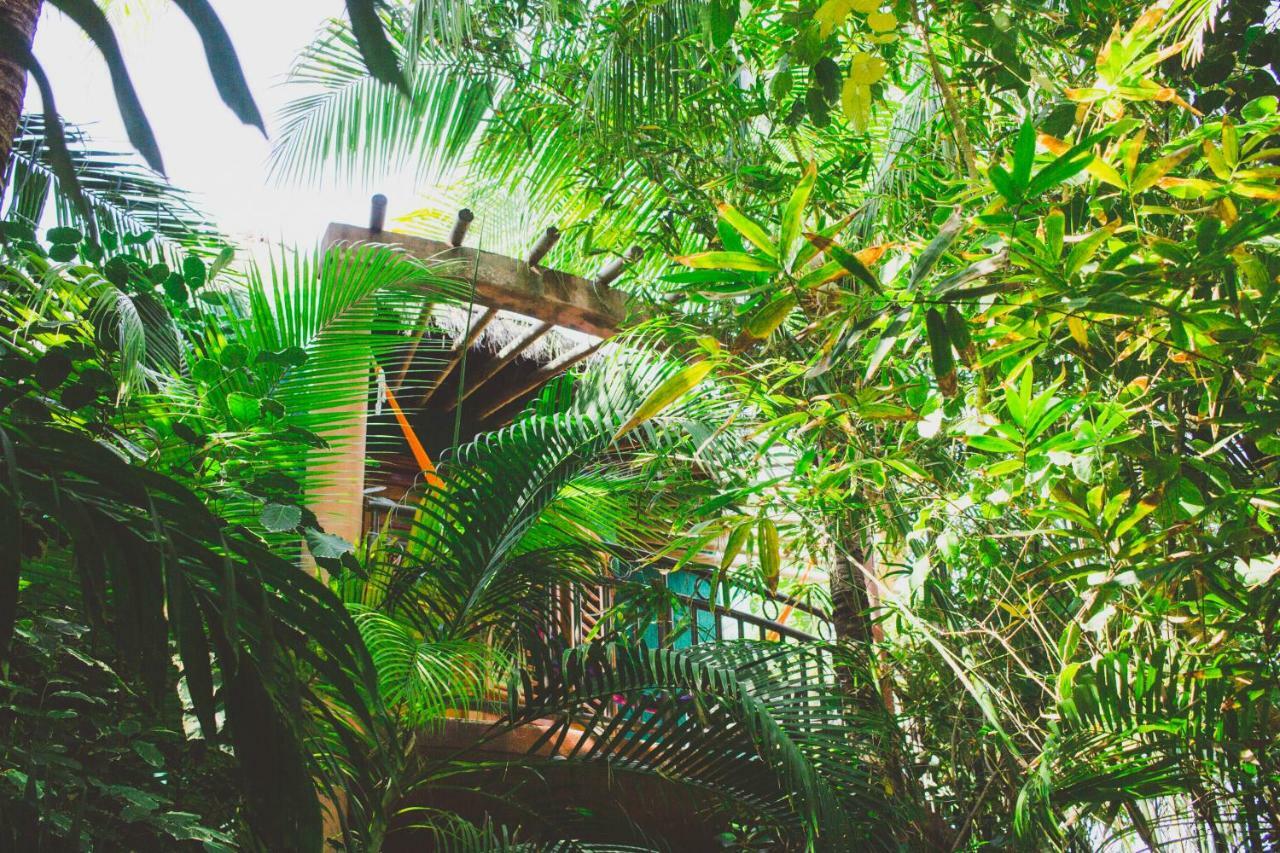 Cocos Cabanas Playa Del Carmen Adults Only المظهر الخارجي الصورة